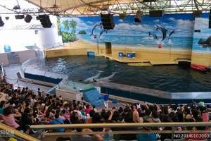 清远去广州海洋馆、动物园一天游 【纯玩】清远去广州海洋馆