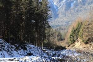 成都九寨都江堰 乐山峨眉 宜昌三峡 襄阳武当山旅游专列13日