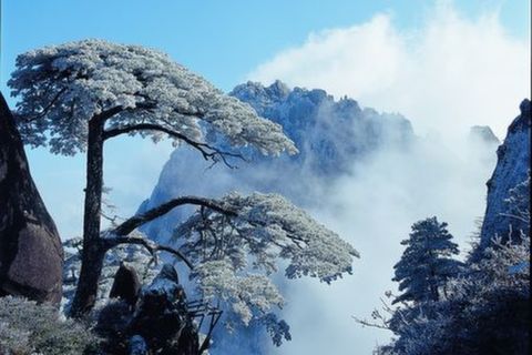 <黄山-宏村-千岛湖-塔川秋色双卧5日游>跟团，夜宿千岛湖湖景房