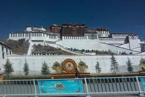 北京去西藏旅游多少钱|西藏旅游费用|布达拉宫嘎拉桃花村8日