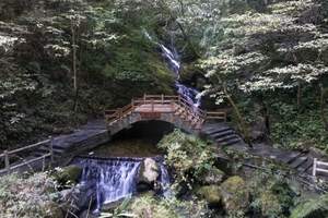 重庆一日游 万盛黑山谷原始森林一日游