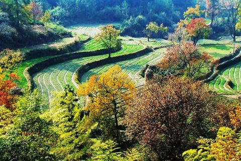 <黄山-西海-塔川-宏村-呈坎双卧6日游>两大主题秋游景观