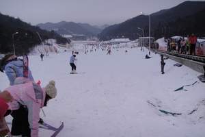 西柏坡滑雪场一天价格|平山西柏坡滑雪场一日游|西柏坡滑雪门票