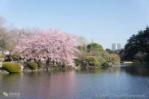 北京跟团去日本旅游最低报价}日本东京大阪双飞6日游多少钱