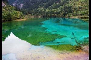 厦门到九寨沟旅游攻略｜重庆、九寨沟、黄龙四飞四日游7月报价