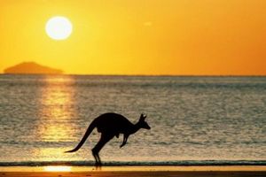 澳大利亚新西兰北岛品质10日游_福建省中国旅行社自组品质团