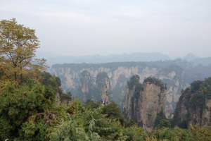 重庆到张家界旅游报价_张家界旅游攻略_张家界天门山双飞四日游