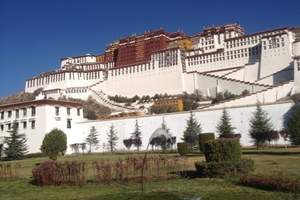 西藏白牦牛多少钱一头？拉萨纳木错林芝日喀则｛单卧单飞十日游｝