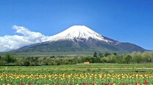 <日本本州6日游>一晚日本温泉酒店，双古都，一天自由活动