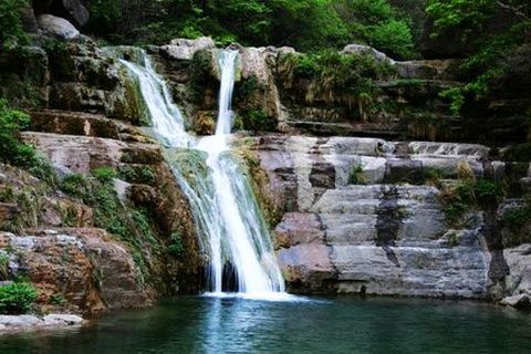 <云台山-龙门-少林寺-包公祠-天波府5日游>中原山水、古都全景游、无购物