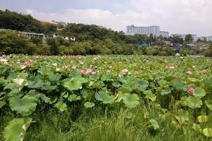 贵州天河潭、青岩古镇、花溪一日游|贵阳周边旅游|天河潭门票