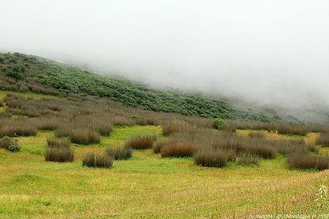 <神农架金秋摄影3日游>神农架探险（当地游）