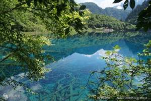 山东成团-成都、九寨沟、黄龙、都江堰、熊猫基地双飞6日游