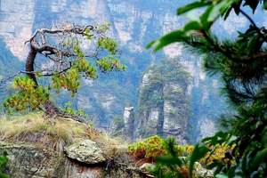 端午节去哪里旅游，长沙到张家界旅游，张家界、袁家界汽车三日游