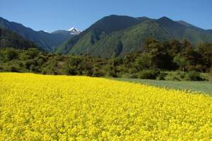 国庆旅游计划：婺源、三清山、景德镇、双卧五日游（主推产品）