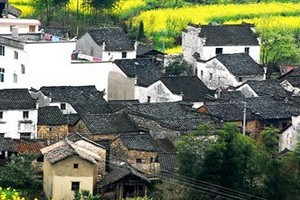 南宁到南昌、景德镇、婺源双卧六日游|南宁去江西旅游线路报价