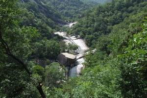 【栾川红豆衫】郑州到栾川红豆衫景区二日游（2014潜力景区）