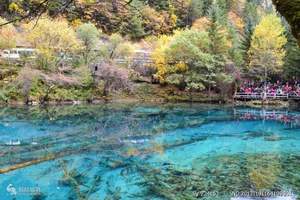 厦门到九寨沟旅游<成都九寨黄龙花湖双飞8日游>-宝贝计划