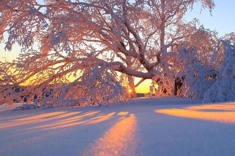 <哈尔滨-雪乡3日游>幻化神奇的大秃顶子山（当地游）