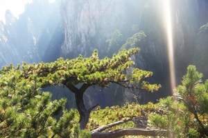 特价上海出发到黄山旅游_上海到黄山旅游报价_黄山纯玩二日游