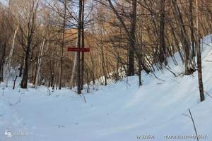 东莞去沈阳旅游|哈尔滨、伪皇宫、万达国际滑雪、长白山双飞六天