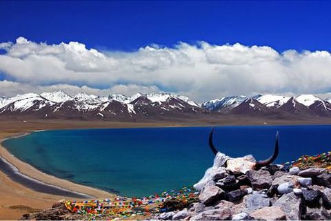<西藏全景8日游>赠纳木措，住宿可升级（当地游）