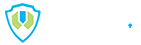 政府安全解决方案